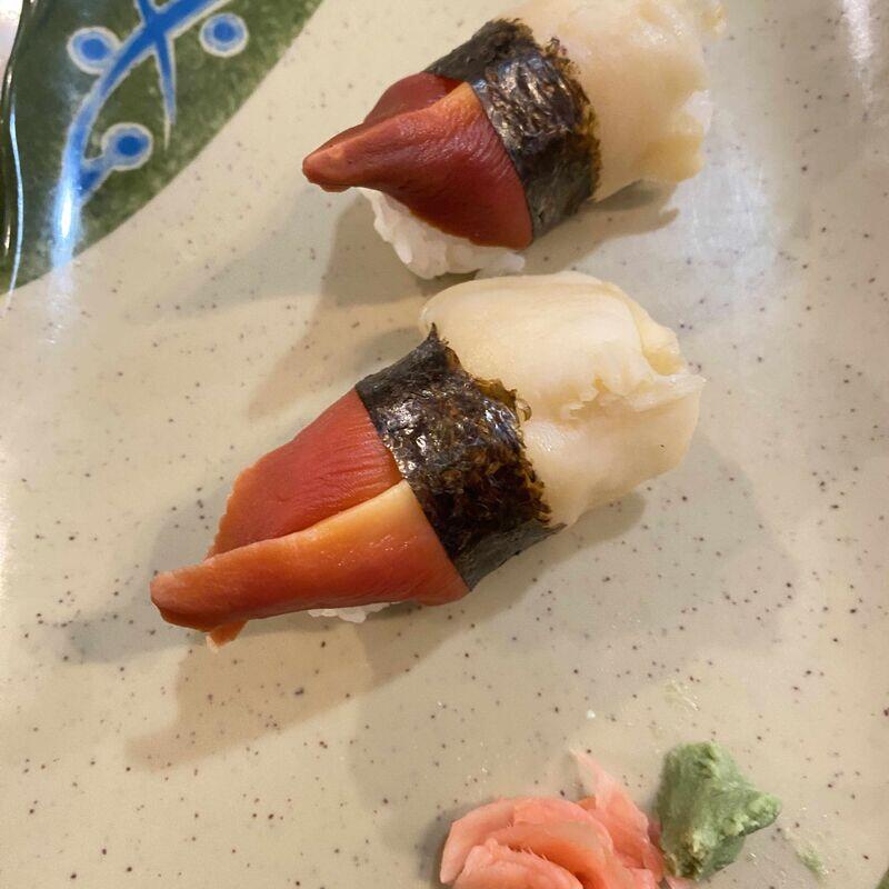 Surf Clam